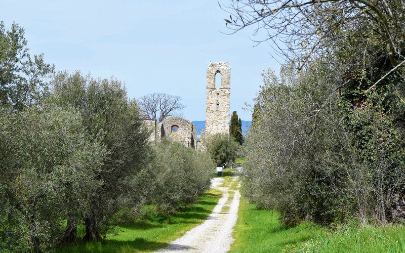 UN GIORNO TRA LE ISOLE DEL LAGO TRASIMENO 

